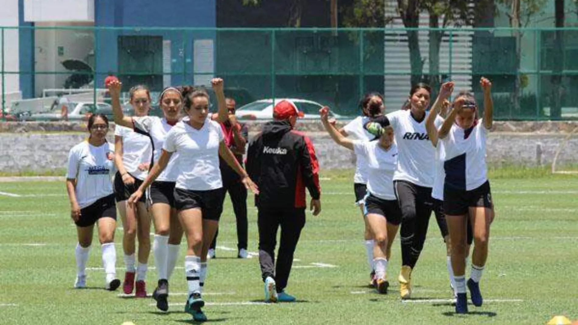 lobos femenil